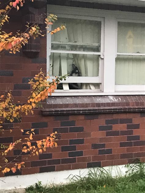 Always watching- every move you make every step you take every bite you ...