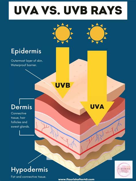 The Ultimate Guide To Choosing The Best Uva Sunscreen For Your Skin