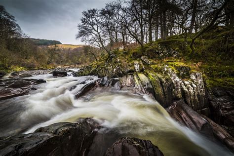 trees, outdoors, rock, water, nature, river, plants, HD Wallpaper ...