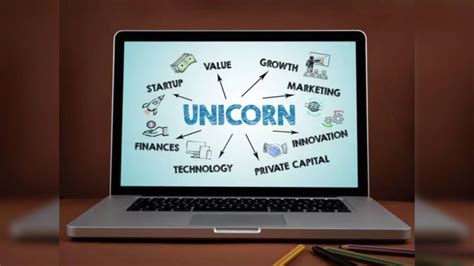 Top 10 Unicorn Startups In India Valuation Founders Impact