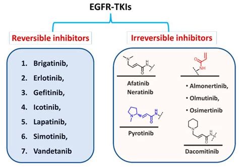 Classification Of The Approved EGFR TKIs Encyclopedia MDPI