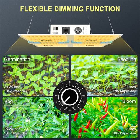 Brandywine Tomato Guide: Everything You Need to Know - Jardin HQ