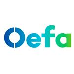 EMPLEO OEFA Practicante para la Dirección de Fiscalización y