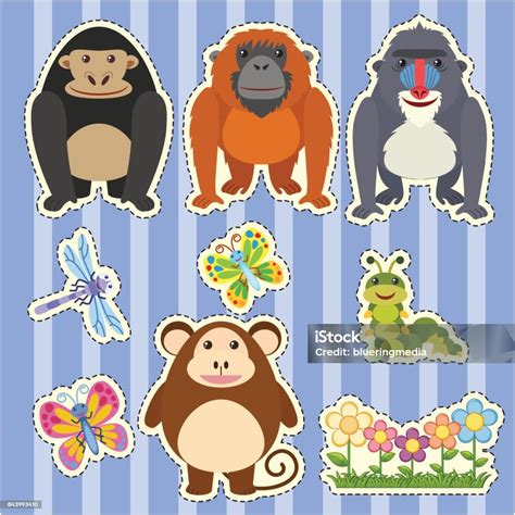 desain stiker  berbagai jenis monyet ilustrasi stok  gambar