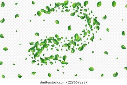 Swamp Greens Spring Vector Transparent Background Stock Vector Royalty