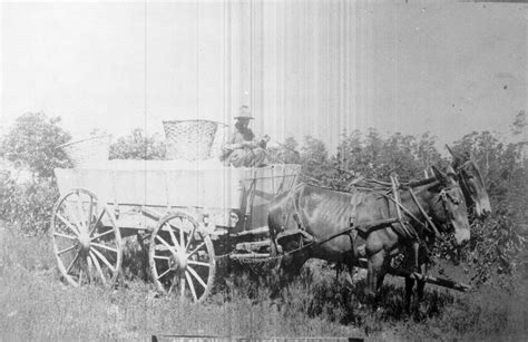 Cotton Workers | Charlotte Mecklenburg Story