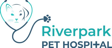 Harmony Unleashed: Comprehensive Behavior Management at Riverpark Pet ...