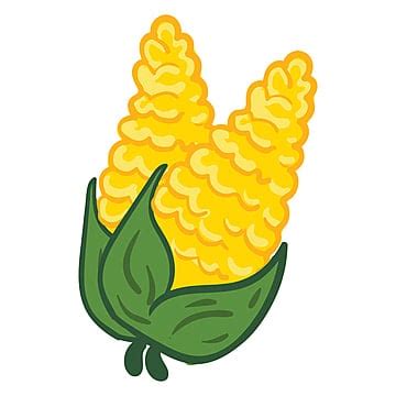 Simple Corn Clipart Hd Png Corn Vector Illustration With Simple Flat