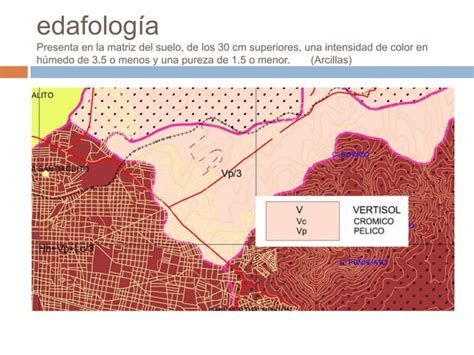 An Lisis De Determinantes Medio Ambientales Y Urbanas Ppt