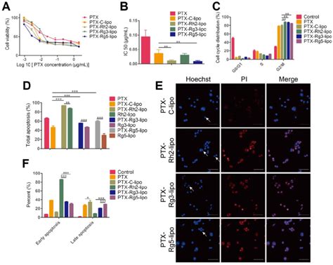 In Vitro Anticancer Activities Of Paclitaxel PTX Loaded Ginsenoside