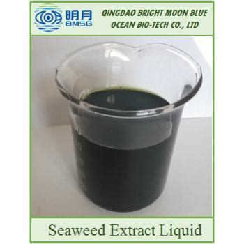 Qingdao Bright Moon High Quality Ascophyllum Nodosum Seaweed Extract