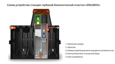 Септик Эргобокс: как подобрать модель и установить своими силами