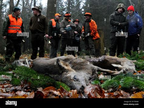 Hornistshorn Fotos Und Bildmaterial In Hoher Aufl Sung Alamy