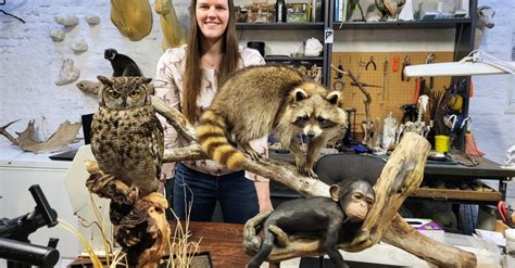 Taxidermist Frauke wint eerste plaats op Europees kampioenschap met