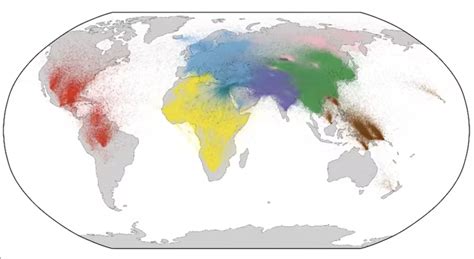 University of Oxford researchers create largest ever human family tree – Popular Archeology