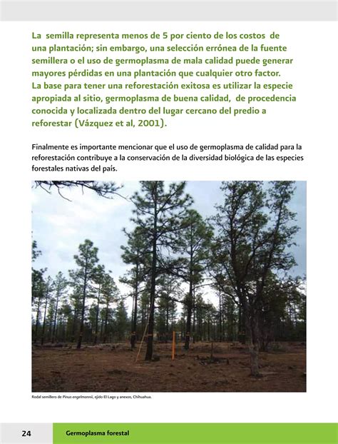 Manual Practicas De Reforestacion Pdf