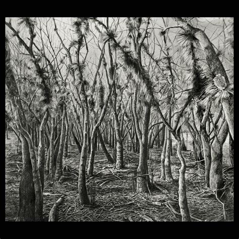 Pencil Drawing Of A Forest at PaintingValley.com | Explore collection ...