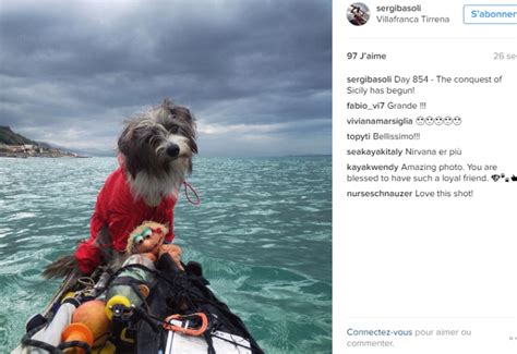 Un Chien Parcourt Des Milliers De Kilom Tres En Kayak