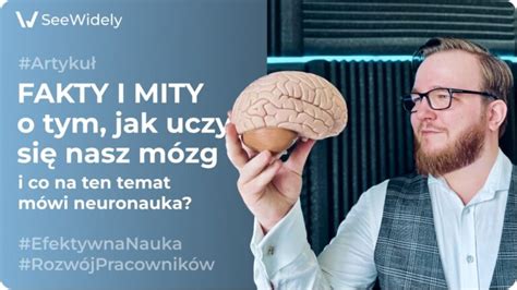 Jak się uczymy i co na ten temat mówi neuronauka Fakty i mity SeeWidely