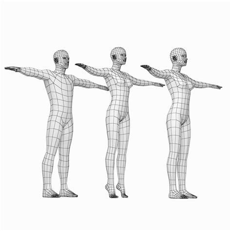 Natural Female And Male In T Pose Base Mesh By Valeriik 3docean