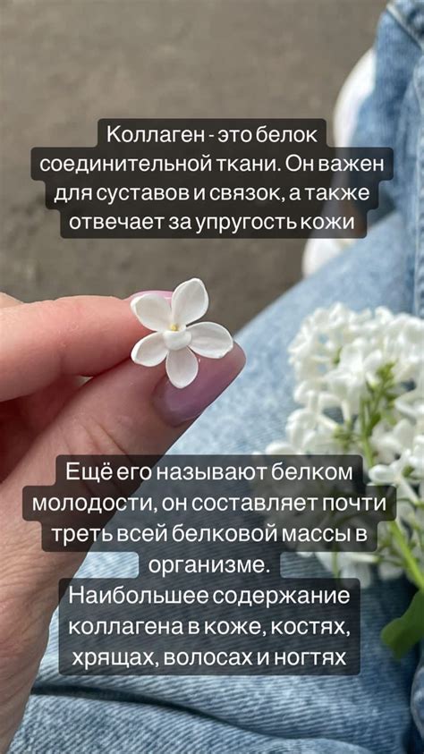 Пин от пользователя Natali Plechun на доске Колаген в 2024 г | Коллаген ...