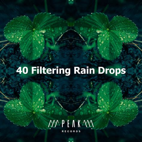 40 Filtering Rain Drops Album By Rain Recorders Spotify