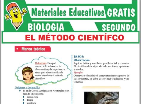 Sistema Reproductor Masculino Para Segundo Grado De Secundaria