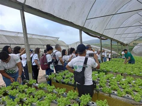 Forma O E Qualifica O Senar Pernambuco Oferece Cursos Gratuitos De