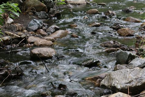 Trabuco Creek Photo By Joanna Gilkeson Usfws Usfws Pacific