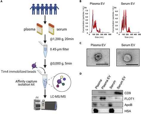 Comprehensive Proteomic Profiling Of Plasma And Serum