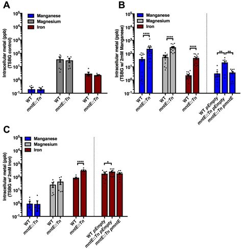 Biofilm Cell Pellet Millipore Bioz