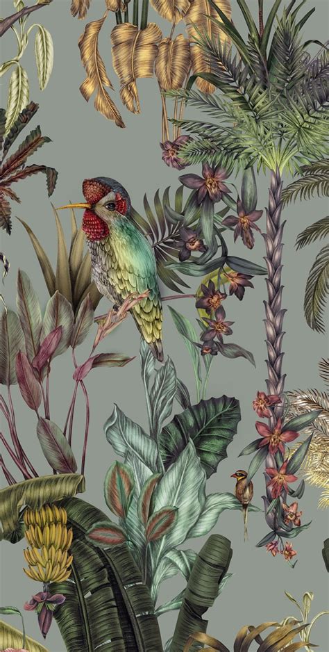 Tropical Bird Wallpaper Jungle Wall Mural Removable Peel and - Etsy