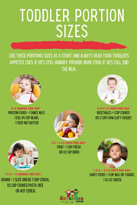 Toddler Portion Sizes How Much To Feed A Tot