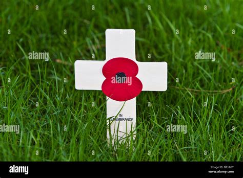 Remembrance Day poppy Stock Photo - Alamy