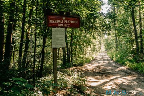 Puszcza Kozienicka I Kozienicki Park Krajobrazowy Atrakcje Szlaki