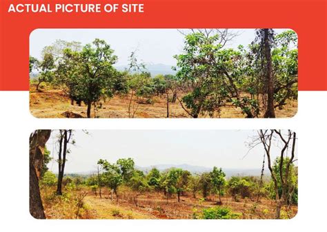 Agricultural Land Sq Ft For Sale In Mangaon Raigad Rei