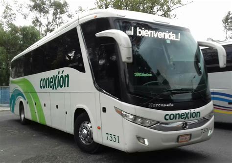 Autobuses Conexi N Tel Fonos Horarios Y Destinos