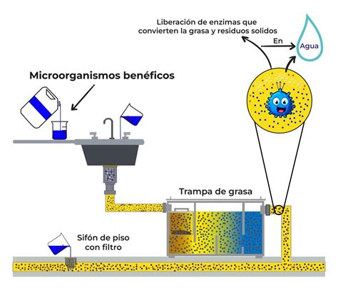 Limpieza De Trampas De Grasa Biohbac Soluciones Ambientales