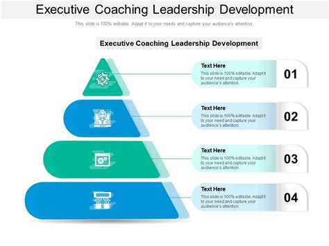 Executive Coaching Leadership Development Ppt Powerpoint Presentation