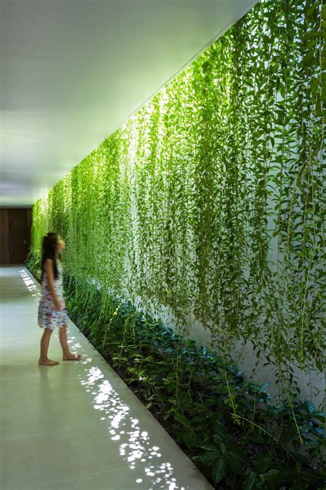 Plant Covered Walls Green Architecture Landscape Architecture