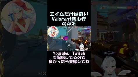 【valorant】エイムだけは良い初心者のace Valorant動画まとめ