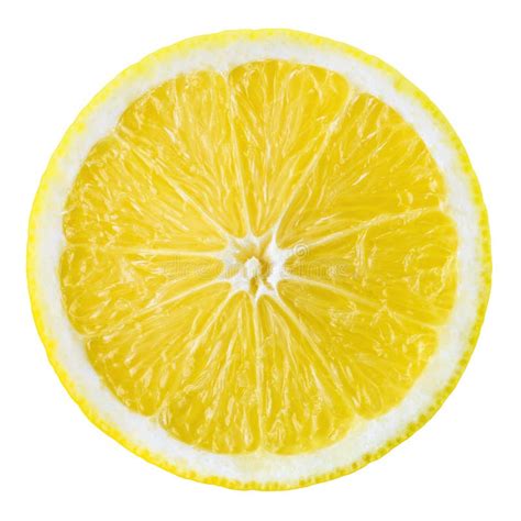 Lemon Fruit Slice Circle Isolated On White Stock Photo Image Of