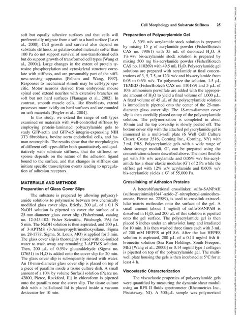 Solution Cell Motility Yeung Effects Of Substrate Stiffness On