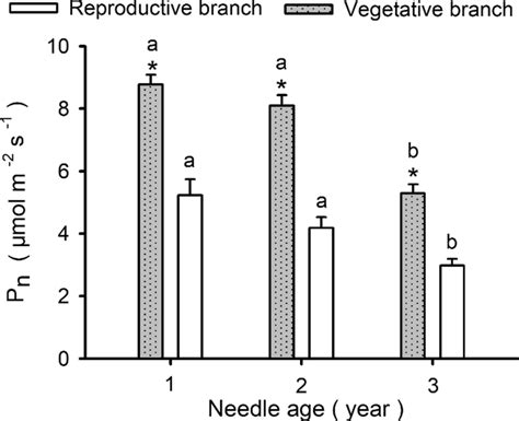 Mean SE Net CO2 Assimilation Rate Pn Of Different Age Needles In