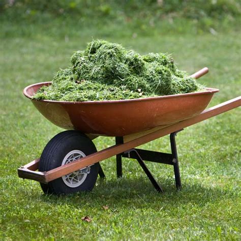 Can Grass Clippings Be Used To Mulch The Vegetable Garden ~ Greenview