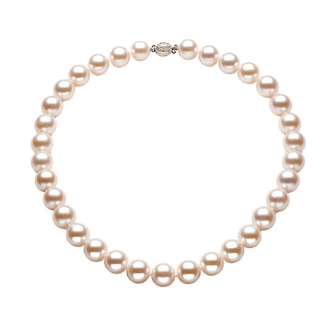 Collar De Perlas Blancas Png Png Dibujos Perla Blanco Joya Png