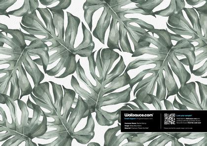 Monstera Leaves Wallpaper | Wallsauce CA