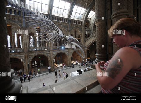 Some Of The First Members Of Public To Enter The Hintze Hall At The