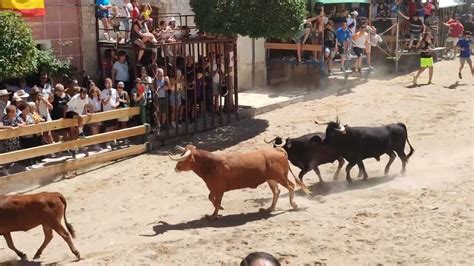 Tercer Encierro En Las Fiestas De Santiago De La Espada Youtube