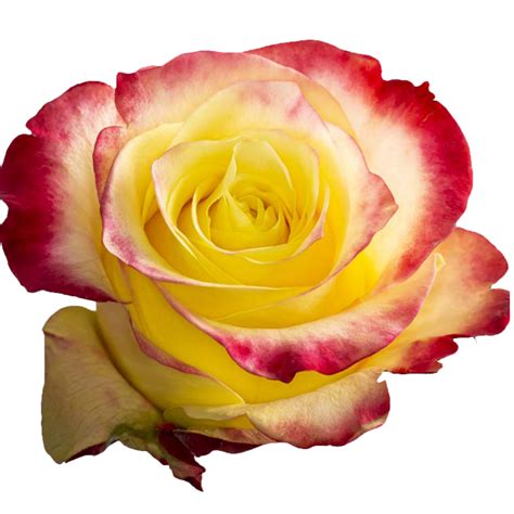 Hot Merengue Ponte Tresa